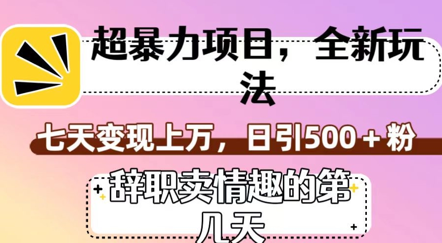 超暴利项目，全新玩法（辞职卖情趣的第几天），七天变现上万，日引500+粉【揭秘】-观智斋电商课程站