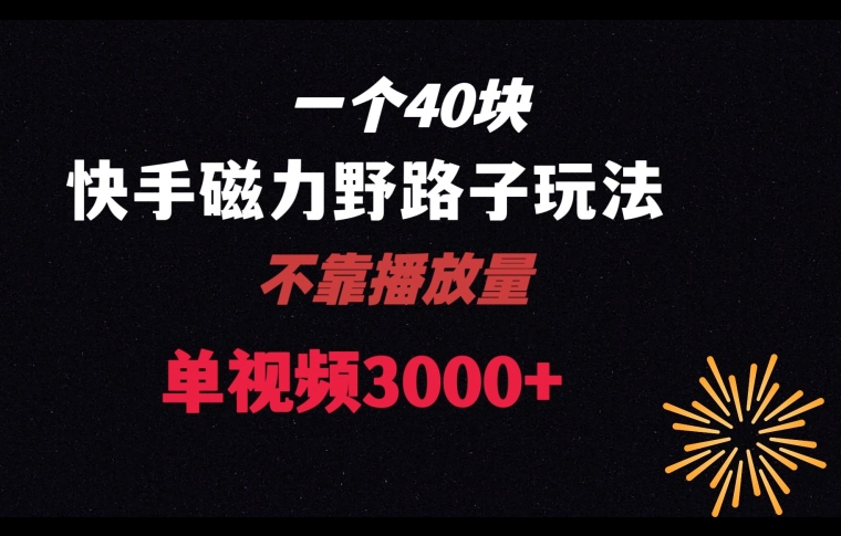 一个40块，快手联合美团磁力新玩法，无视机制野路子玩法，单视频收益4位数【揭秘】-观智斋电商课程站