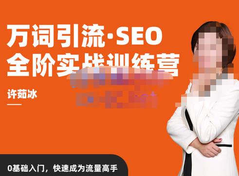 许茹冰·万词引流-SEO全阶实战训练营，0基础入门，快速成为流量高手-观智斋电商课程站