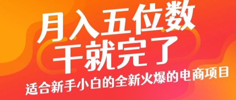 月入五位数，干就完了， 适合新手小白的全新火爆的电商项目-观智斋电商课程站