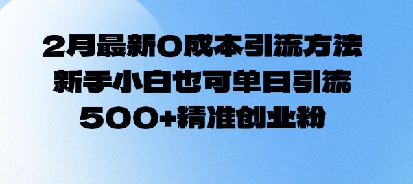 2月最新0成本引流方法，新手小白也可单日引流500+精准创业粉-观智斋电商课程站