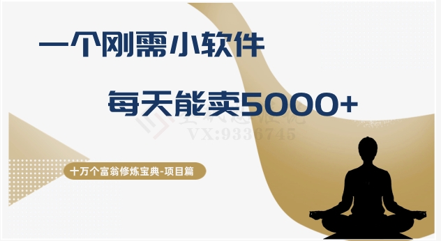 十万个富翁修炼宝典之17.一个刚需小软件，每天能卖5000+-观智斋电商课程站