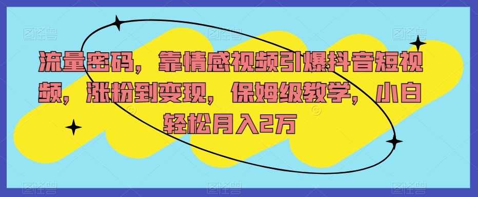 流量密码，靠情感视频引爆抖音短视频，涨粉到变现，保姆级教学，小白轻松月入2万【揭秘】-观智斋电商课程站
