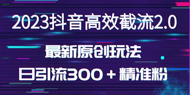 日引300＋创业粉，独家抖音高效截流2.0玩法（价值1280）-观智斋电商课程站