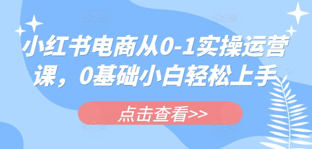 小红书电商从0-1实操运营课，0基础小白轻松上手-观智斋电商课程站
