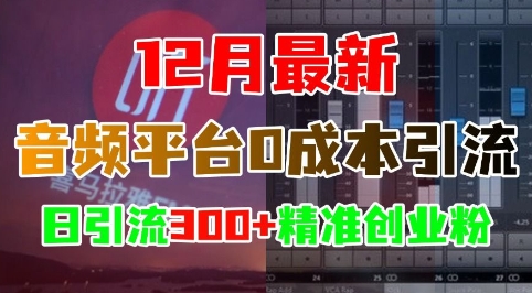 12月最新：音频平台0成本引流，日引流300+精准创业粉-观智斋电商课程站