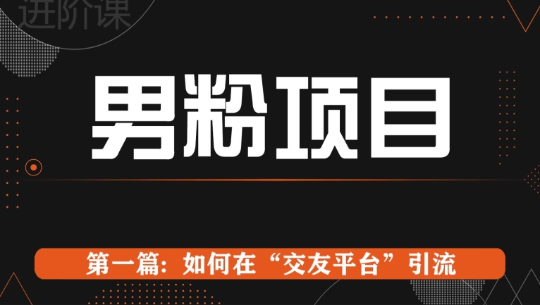 男粉项目系列课程第一篇: Soul暴力引流-观智斋电商课程站