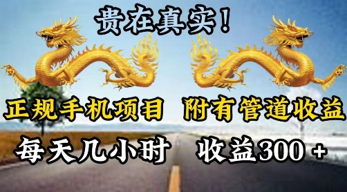 正规手机项目，附有丰富的管道收益，每天几小时，收益300-观智斋电商课程站