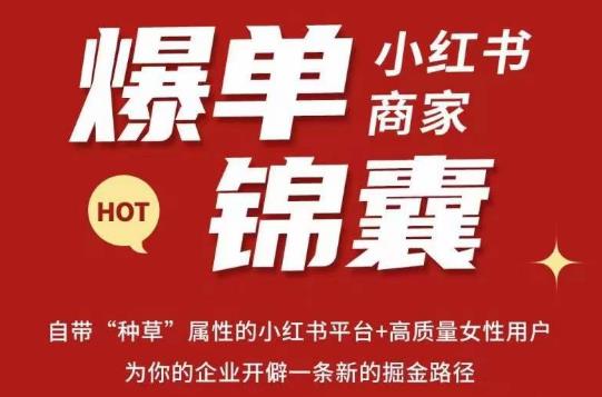 无畏·小红书商家爆单锦囊，掌握小红书各大规则，快速精准抢占行业和市场-观智斋电商课程站