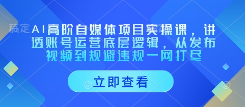 AI高阶自媒体项目实操课，讲透账号运营底层逻辑，从发布视频到规避违规一网打尽-观智斋电商课程站