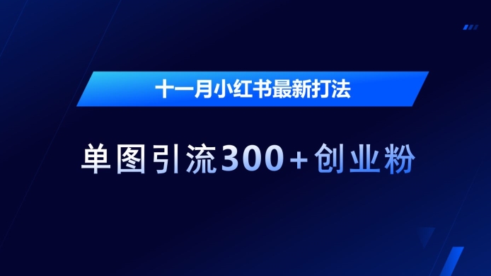 十一月小红书最新打法，单图引流300+创业粉【揭秘】-观智斋电商课程站