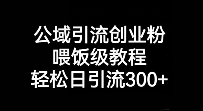 公域引流创业粉，喂饭级教程，轻松日引流300+【揭秘】-观智斋电商课程站