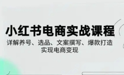 小红书从0-1实操课(2023-2025)，详解养号、选品、文案撰写、爆款打造实现电商变现-观智斋电商课程站