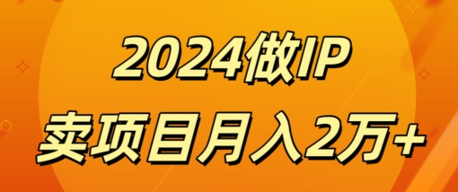 做项目不如卖项目，打造IP，去卖项目，月入2w-观智斋电商课程站