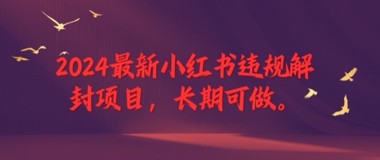 2024最新小红书违规解封项目，长期可做，一个可以做到退休的项目【揭秘】-观智斋电商课程站