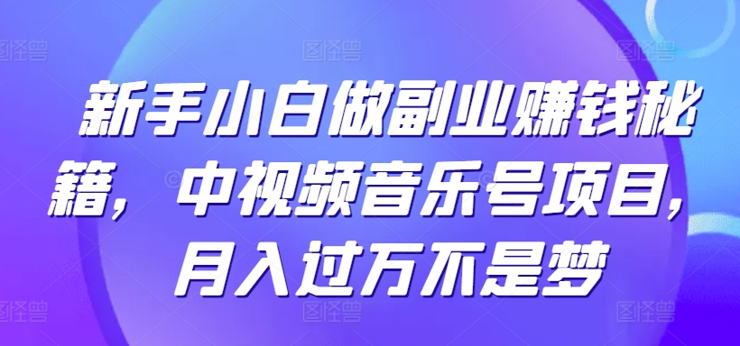 新手小白做副业赚钱秘籍，中视频音乐号项目，月入过万不是梦-观智斋电商课程站