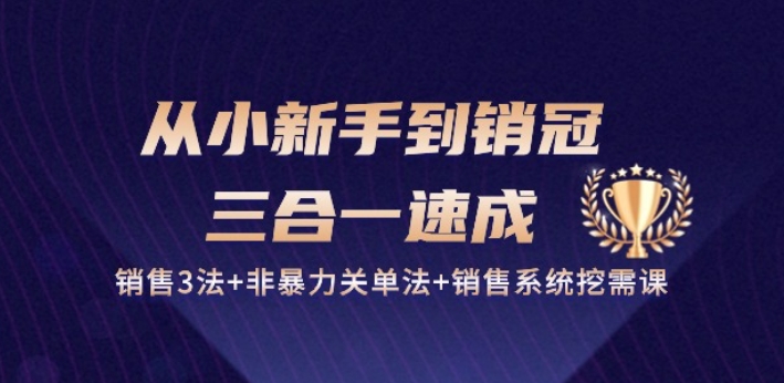 从小新手到销冠 三合一速成：销售3法+非暴力关单法+销售系统挖需课 (27节)-观智斋电商课程站