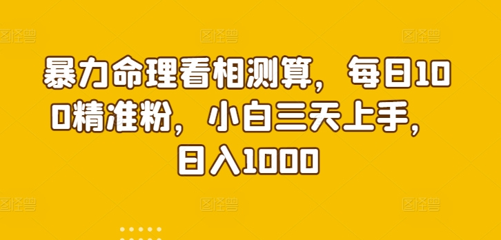 暴力命理看相测算，每日100精准粉，小白三天上手，日入1000-观智斋电商课程站