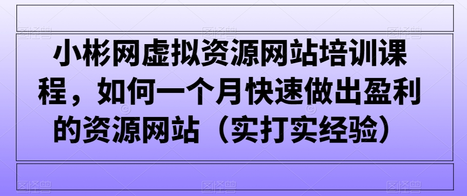 小彬网虚拟资源网站培训课程，如何一个月快速做出盈利的资源网站（实打实经验）-观智斋电商课程站