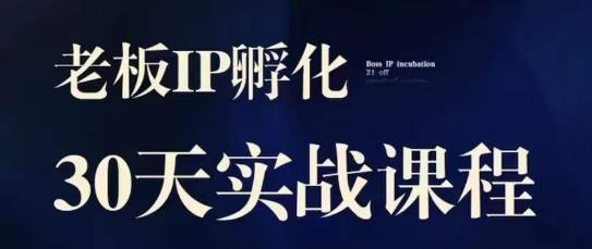 诸葛·2023老板IP实战课，实体同城引流获客，IP孵化必听-观智斋电商课程站
