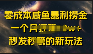零成本咸鱼暴利捞金，一个月收益过w+，秒发新玩法-观智斋电商课程站