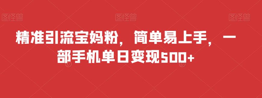 精准引流宝妈粉，简单易上手，一部手机单日变现500+-观智斋电商课程站