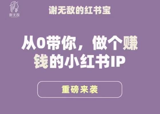 谢无敌·小红书运营大宝典，从0带你做个赚钱的小红书IP-观智斋电商课程站