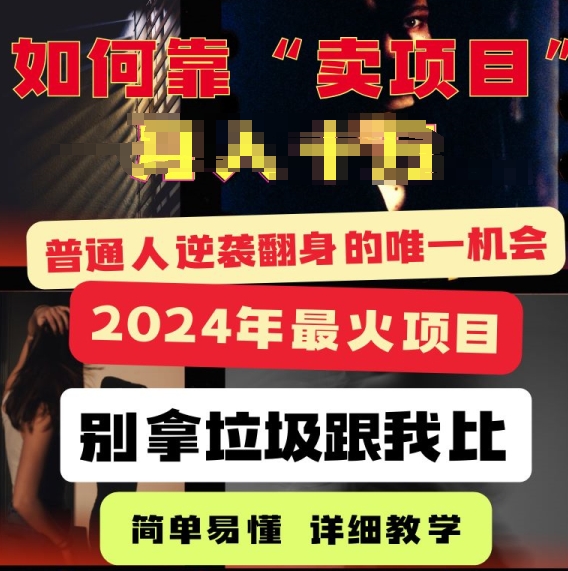 2024年最火项目，如何靠“卖项目”逆装翻身，简单易懂 详细教学 完整版5节课-观智斋电商课程站