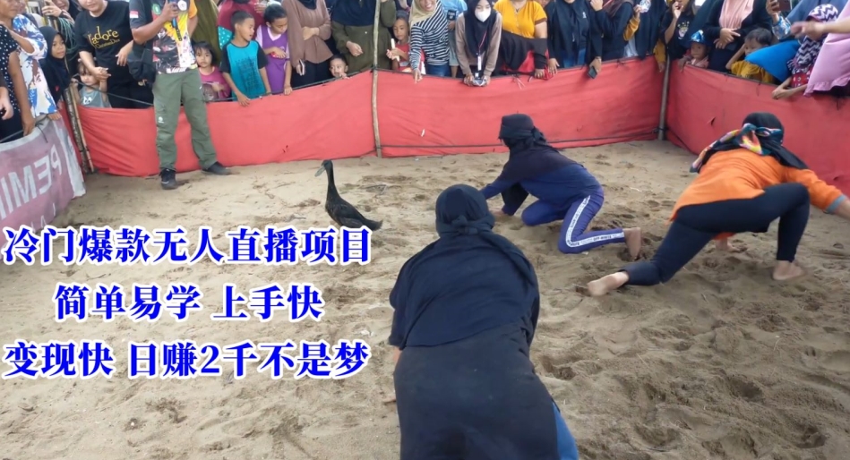 冷门爆款无人直播项目，简单易学上手快，变现快日赚2千不是梦【揭秘】-观智斋电商课程站