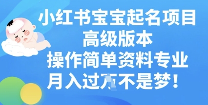 小红书宝宝起名项目高级版本，操作简单，资料专业，月入过W-观智斋电商课程站