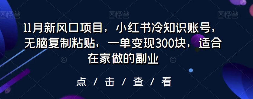 11月新风口项目，小红书冷知识账号，无脑复制粘贴，一单变现300块，适合在家做的副业-观智斋电商课程站