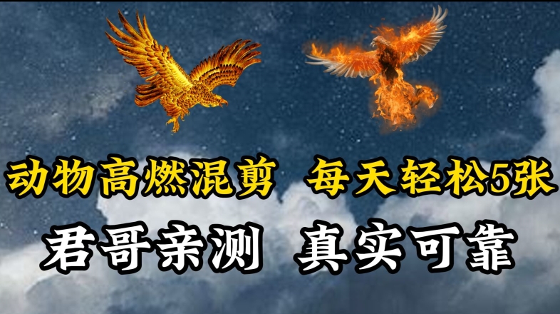 动物超燃混剪，每天轻松5张，剪辑简单大家爱看【揭秘】-观智斋电商课程站