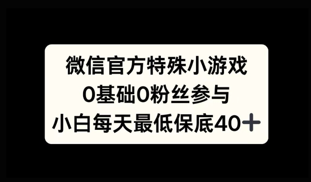 微信官方特定小游戏，0基础0粉丝，小白上手每天最少保底40+-观智斋电商课程站