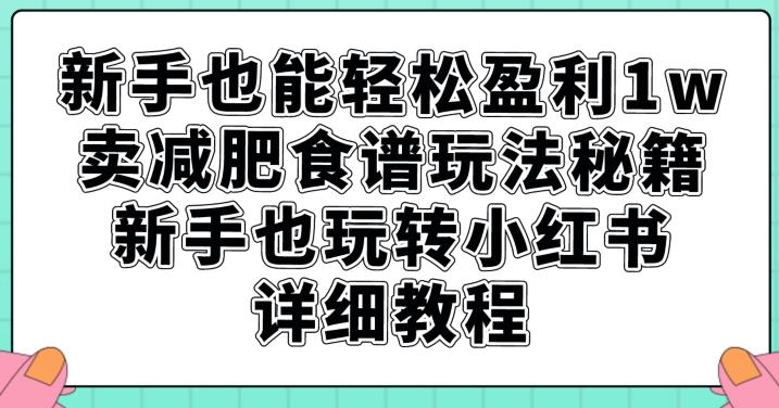 新手也能轻松盈利1w，卖减肥食谱玩法秘籍，新手也玩转小红书详细教程【揭秘】-观智斋电商课程站