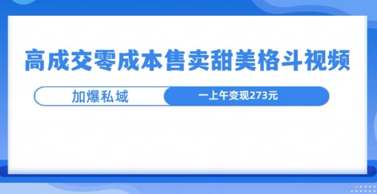 高成交零成本，售卖甜妹格斗视频，可以实现日入过k-观智斋电商课程站