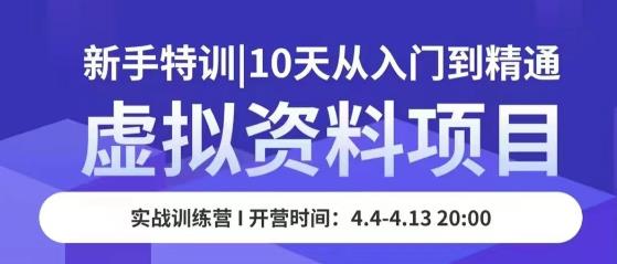 虚拟资料项目新手特训，10天从入门到精通，保姆级实操教学-观智斋电商课程站