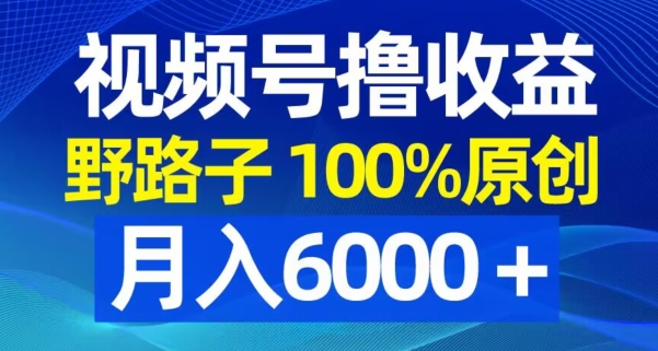 视频号野路子撸收益，100%原创，条条爆款，月入6000＋【揭秘】-观智斋电商课程站