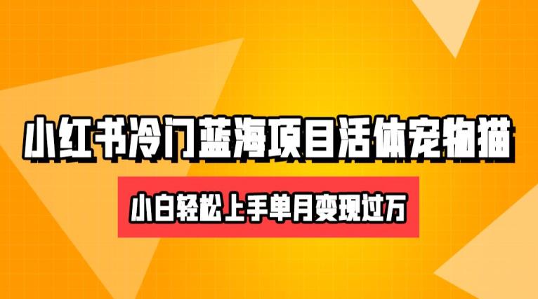 小红书冷门赛道卖活体宠物猫项目，小白也能操作月入5w+-观智斋电商课程站