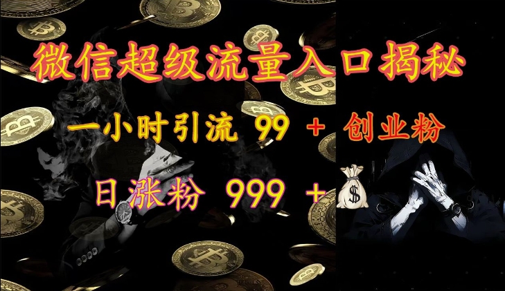 微信超级流量入口揭秘：一小时引流 99 + 创业粉，日涨粉 999 +-观智斋电商课程站