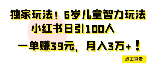 独家玩法，6岁儿童智力玩法，小红书日引100人-观智斋电商课程站
