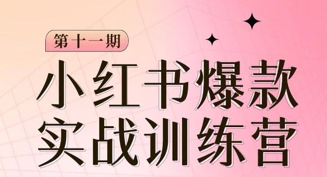 小红书博主爆款训练营第11期，手把手教你从0-1做小红书，从定位到起号到变现-观智斋电商课程站