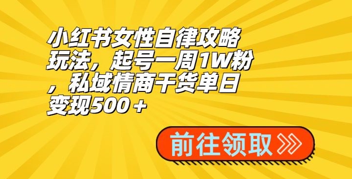 小红书女性自律攻略玩法，起号一周1W粉，私域情商干货单日变现500＋-观智斋电商课程站