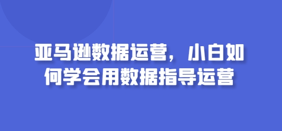 亚马逊数据运营，小白如何学会用数据指导运营-观智斋电商课程站