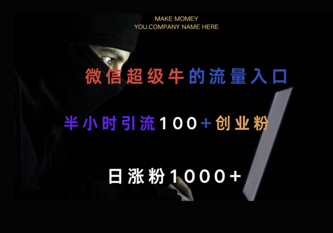 微信版知乎，一小时引流100+创业粉，日涨粉1000+-观智斋电商课程站