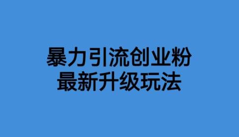 价值1980一千个野路子暴力引流最新升级玩法【揭秘】-观智斋电商课程站