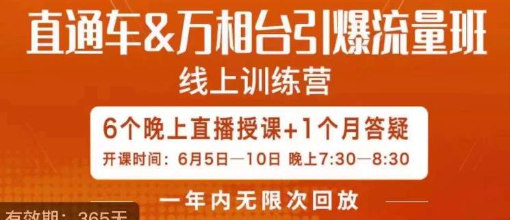 直通车&万相台引爆流量班，6天打通你开直通车·万相台的任督二脉-观智斋电商课程站