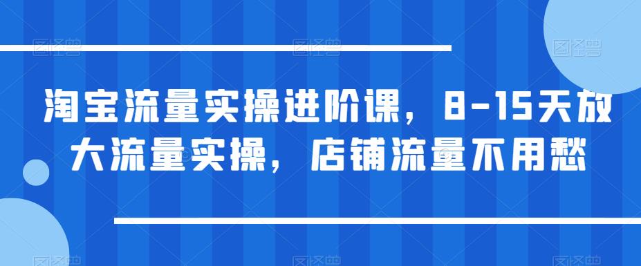 淘宝流量实操进阶课，8-15天放大流量实操，店铺流量不用愁-观智斋电商课程站