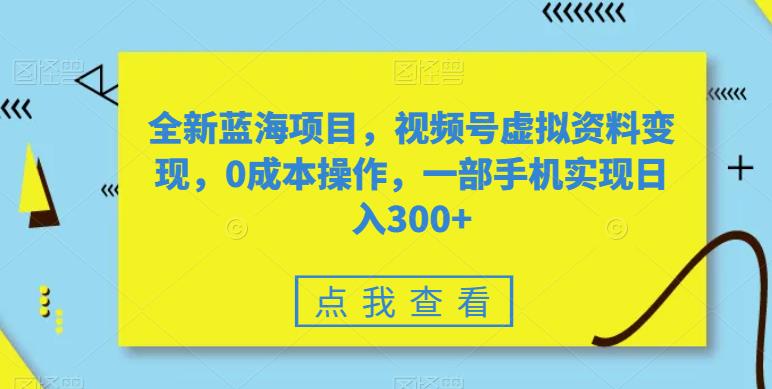 全新蓝海项目，视频号虚拟资料变现，0成本操作，一部手机实现日入300+-观智斋电商课程站