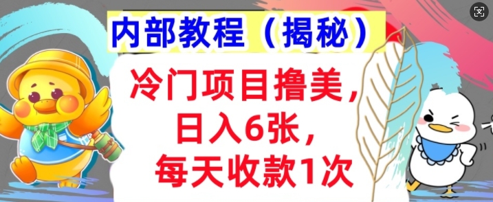 冷门项目撸美金，日入几张，每天收款1次，内部方法，首次公开!-观智斋电商课程站