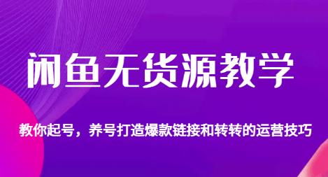 闲鱼无货源教学，教你起号，养号打造爆款链接以及转转的运营技巧-观智斋电商课程站
